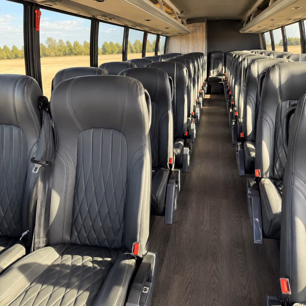 citrus heights bachelor bachelorette transportation