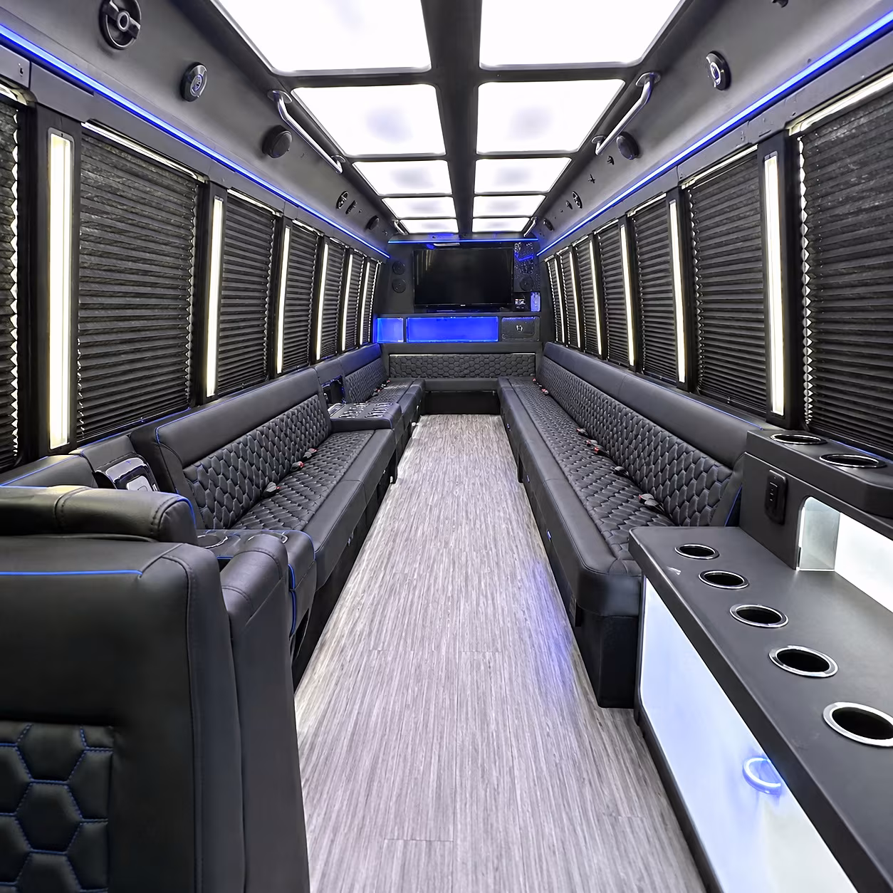 citrus heights birthday party bus rental