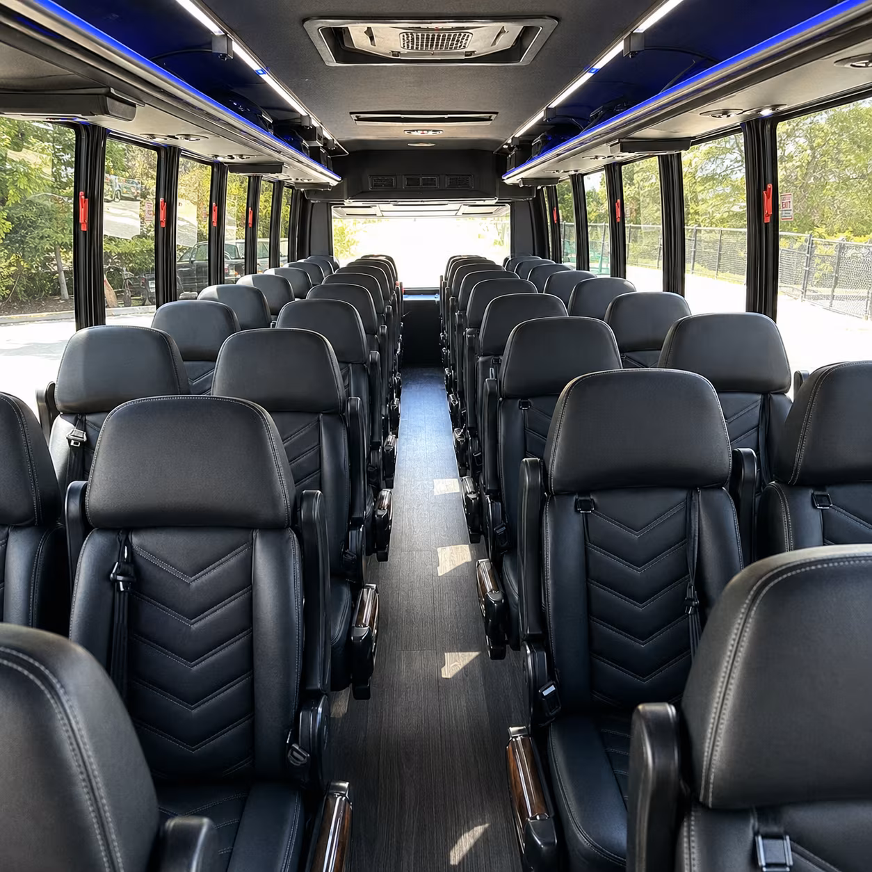 citrus heights birthday party transportation onboard seating